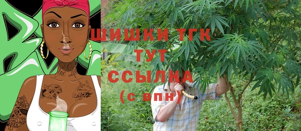 гашик Козловка