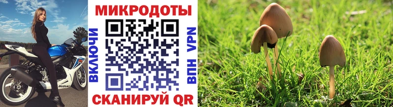 Галлюциногенные грибы Cubensis Болхов